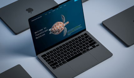 Travelscape Maldives: Introducing our latest successful project: the website redesign for Travel Agency, specializing in organizing trips to the Maldives where you can swim with sharks, rays, and explore the incredible underwater world of the Maldives.