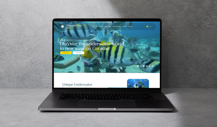 Under Water Tours: A SeaTrek franchisee in Curacao's website, which has booking, database, custom elements. custom forms, admin panel. SEO is also managed by us.
