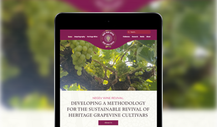 Negev Wine Revival: undefined