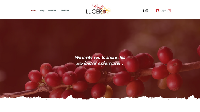 Café Lucero: Reimagined the digital presence of Café Lucero through a full website and e-commerce rebrand.