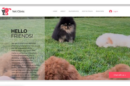 Vet Clinic: This is a beautifully designed website for a vet clinic which includes the services offered by them and description about the clinic.