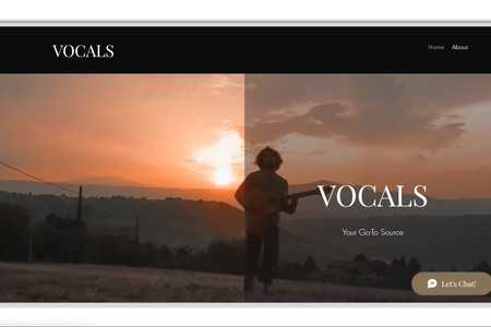 Vocals: Vocals is a website made for a musician where he posts the music industry secrets and how to get success in the same.