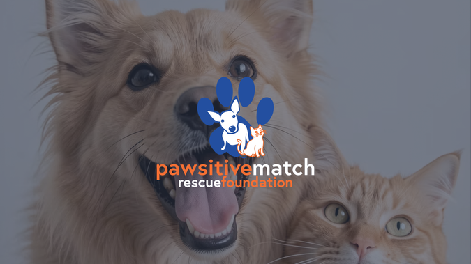 Pawsitive Match Rescue Foundation: 