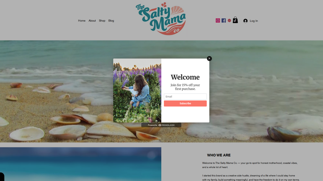 The Salty Mama Co.: Mom blog and print on demand store!