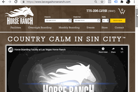 Las Vegas Horse Ranch: Advanced Wix Classic Website
- Reservation Functionality
- Custom Input Forms
- ECommerce Shop (3rd Party POD)