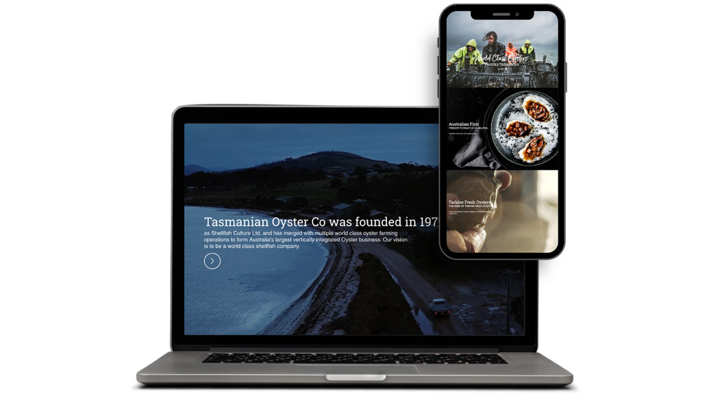 Tasmanian Oyster Co.: A Wix-built website I designed and built for Tasmanian Oyster Co., Australia's largest vertically integrated oyster farming business, founded in 1979. The homepage opens with a full-width hero shot and "World Class Oysters" tagline, then scrolls through story-driven sections — Australian-first retail products, multi-region farming across six Tasmanian growing regions, Tarkine Fresh Oysters, and in-house breeding/R&D — each paired with striking photography and a "Dive In" navigation cue. An extensive mega-menu (Jon's Reserve, Sustainability, Growing Regions, Corporate, Buy Now) supports the site's scale, and an image gallery closes out the page before contact details and social links.