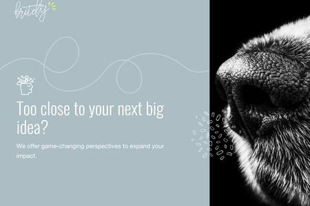 Britely: Advanced WixStudio Design 