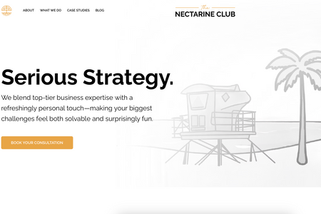 Nectarine Club: Website Design and Development, Graphics, Animations, Logo Design, Branding, and Copywriting