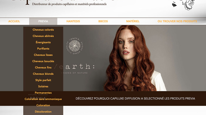 Capiluxe Diffusion: Site vitrine avec fonctions avancées (base de données articles)