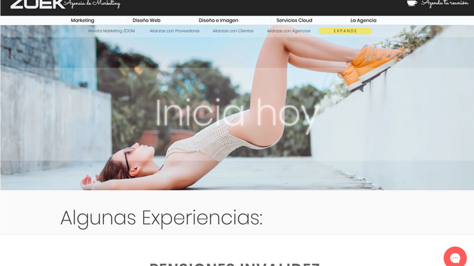ZOEK Agencia de Marketing: The Marketing Agency