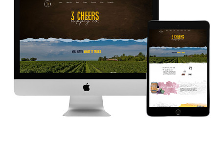 3 Cheers Supply: We worked with a new brewery and winery supply company who had over 113,000 products they needed to sell online. We worked with them to build a brand new website and upload all the products. In the end we built a successful online store by doing advanced SEO and marketing.