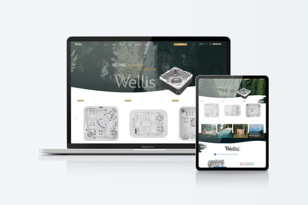 Wellis: E-shop wholesale Europe supplier