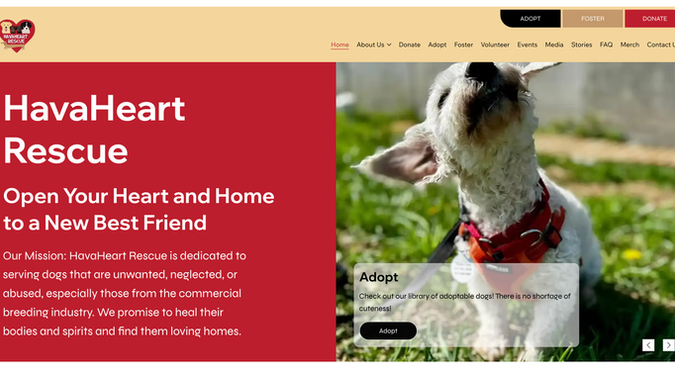 HavaHeart Rescue: HavaHeart Rescue Website Summary
HavaHeart Rescue is a nonprofit dog rescue dedicated to giving abandoned, neglected, and surrendered dogs a second chance through foster-based care, adoption, volunteerism, and community support. The organization connects compassionate people with opportunities to adopt, foster, volunteer, donate, and help save lives while showcasing adoptable dogs, upcoming events, and success stories.

How We Built It
We redesigned and rebuilt the HavaHeart Rescue website in Wix Studio, creating a modern, mobile-responsive experience that makes it easy for visitors to get involved while reducing administrative work for volunteers.

Key features include:
HavaHeart Rescue Website Summary

HavaHeart Rescue is a nonprofit dog rescue dedicated to giving abandoned, neglected, and surrendered dogs a second chance through foster-based care, adoption, volunteerism, and community support. The organization connects compassionate people with opportunities to adopt, foster, volunteer, donate, and help save lives while showcasing adoptable dogs, upcoming events, and success stories.

How We Built It
We redesigned and rebuilt the HavaHeart Rescue website in Wix Studio, creating a modern, mobile-responsive experience that makes it easy for visitors to get involved while reducing administrative work for volunteers.

Key features include:
- Complete UX/UI redesign focused on storytelling, trust, and increasing adoptions.
- Fully responsive Wix Studio website optimized for desktop, tablet, and mobile devices.
- Dynamic CMS collections to manage adoptable dogs, events, success stories, and site content without editing individual pages.
- Custom integrations with ShelterLuv to display adoptable pets and streamline the adoption process.
- Volunteer, foster, adoption, and donation pathways designed to guide visitors toward taking action.
- SEO optimization including metadata, page structure, keyword targeting, image optimization, and technical SEO best practices to improve search visibility.
- Accessibility improvements following WCAG best practices to create a more inclusive browsing experience.
- Custom forms and automations to simplify volunteer inquiries, foster applications, and general contact requests.
- Social media integration and shareable content designed to increase community engagement and promote adoptable dogs.
- Cookie consent, privacy policy, terms, and other website compliance features to meet current web standards.
- Performance optimization through modern layouts, optimized media, and streamlined navigation for a faster user experience.

The result is a website that not only reflects HavaHeart Rescue's compassionate mission but also serves as a powerful tool for increasing adoptions, recruiting volunteers, encouraging donations, and supporting the organization's continued growth. It gives the rescue a professional, easy-to-manage platform that can grow alongside its life-saving work.