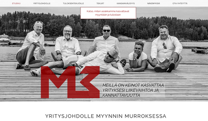 M3 Group Oy: A site for sales consultant company