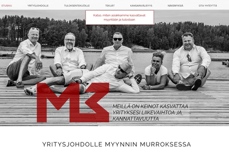 M3 Group Oy: A site for sales consultant company