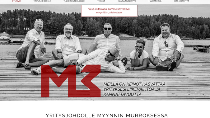 M3 Group Oy: A site for sales consultant company