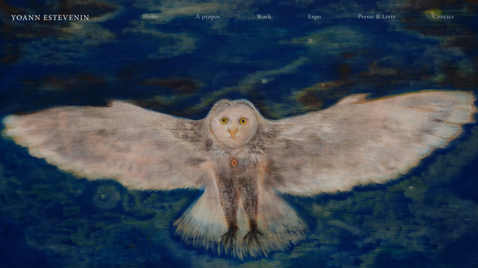 Yoann Estevenin: Site vitrine de l'artiste Yoann Estevenin basé à Paris. 