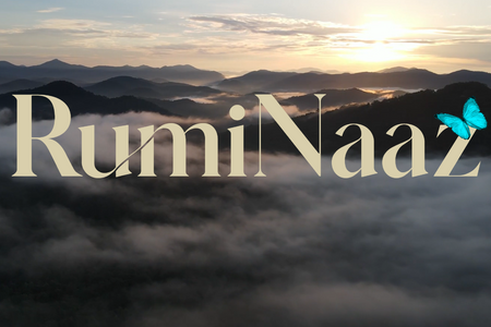 RumiNaaz: RumiNaaz is a website for a movie. We have used custom interactions and code to make it work on different viewports.