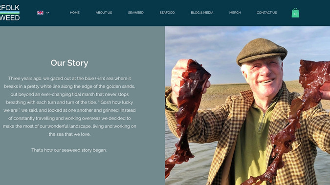 Norfolk Seaweed: Norfolk Seaweed is a start-up business created by people who come from and live in North Norfolk. They will produce sustainable, ethical seaweed for use in bio-fertilisers, bioplastics, food, nutraceuticals and much more...

The company wanted a website to enable them to reach a worldwide audience for this currently niche product.


Features that the website uses include:
Wix store
Wix payments
Multiple enquiry forms
Use of video
Blog
Translation

Websytz worked closely with the Development Director to research, design, produce, test and publish the website.