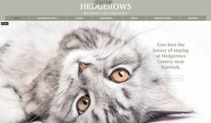 Hedgerows Cattery: Hedgerows Cattery already had a website built by a family friend on WordPress, which had fallen into disrepair. The business asked me to produce a new, up-to-date website with new features and styling. I designed and produced the website with new styling, forms for booking, enquiries and reviews, sourced the images, and wrote the copy and their SEO.