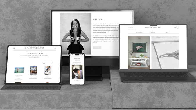 DINA BROADHURST: We re-designed this famous Sydney artist's website to improve the user experience and increase sales whilst maintaining the clean and sleek appearance of her previous site. 