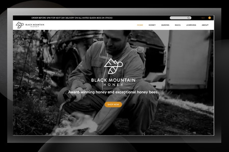 BLACK MOUNTAIN HONEY: eCommerce Store
Redesign & Rebrand
WIX Studio Website