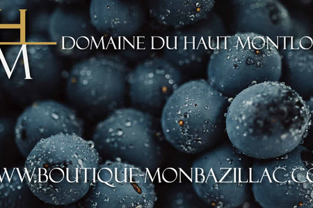 Domaine du Haut Montlong: E-commerce, Actu, Création d'identité visuelle, relooking logo et création de vidéos teaser.