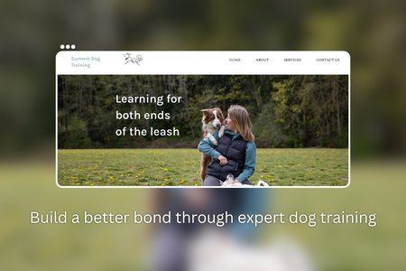 Summit dog training: undefined