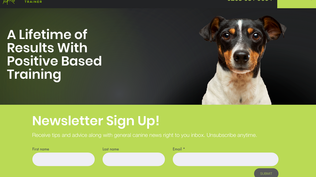 My Dogs Trainer: Paul required an eye catching site to match his existing branding. 