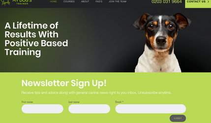 My Dogs Trainer: Paul required an eye catching site to match his existing branding. 