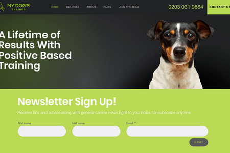 My Dogs Trainer: Paul required an eye catching site to match his existing branding. 