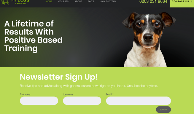 My Dogs Trainer: Paul required an eye catching site to match his existing branding. 