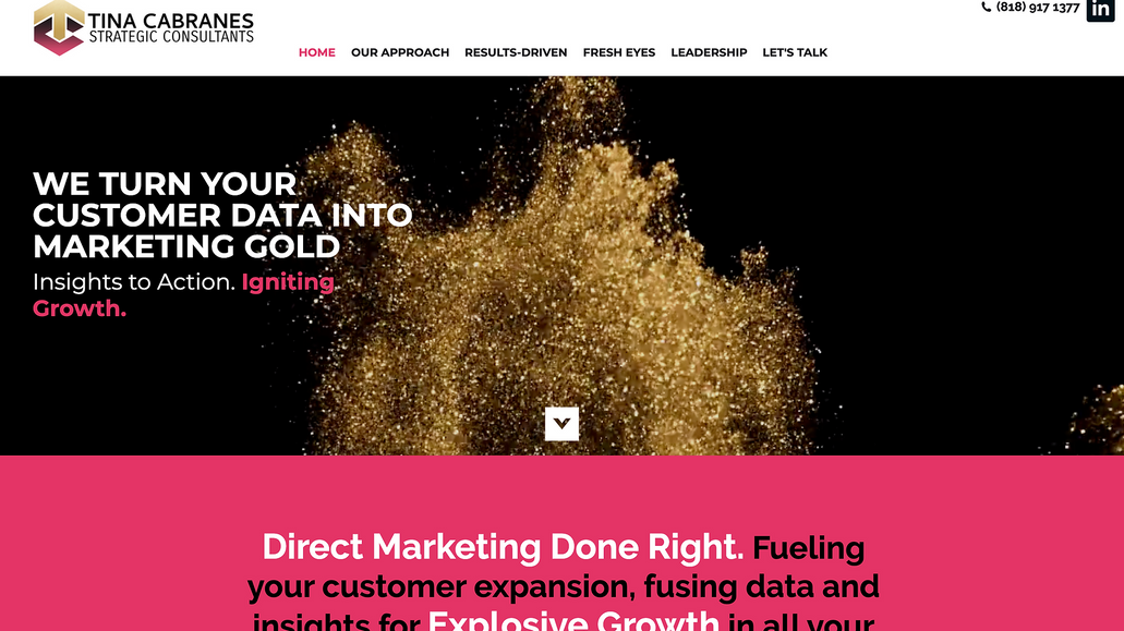 Tina Cabranes Strategic Consultants: 