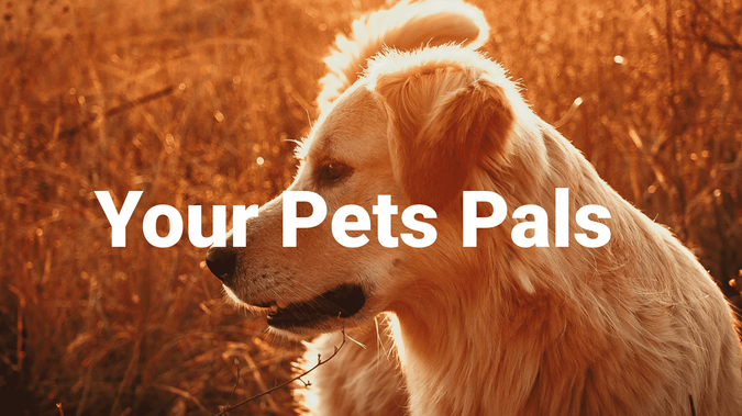 Your Pet Pals : undefined
