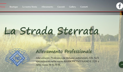 La Strada Sterrata: undefined