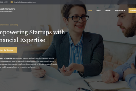FinSolv Consulting: undefined