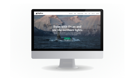 HeyOrca: Website design