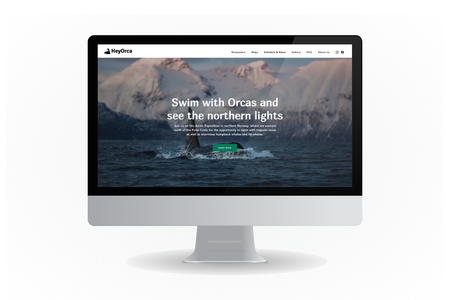 HeyOrca: Website design