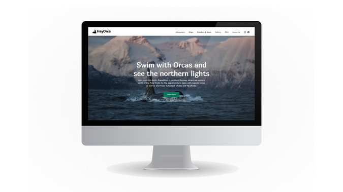 HeyOrca: Website design