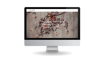 Colornudge: Website design