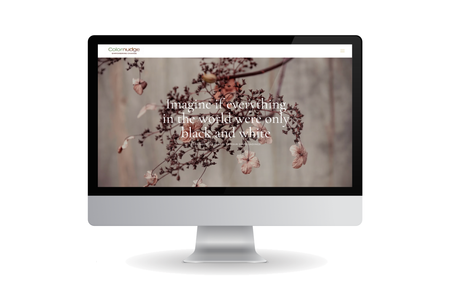 Colornudge: Website design