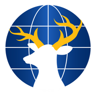 Blue Deer Creative