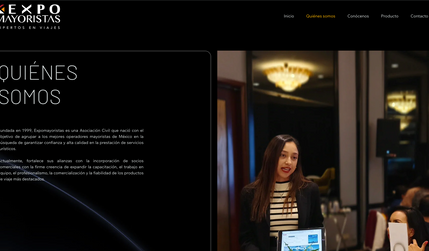 Expo Mayoristas: Sitio web de sociedad de agencias de viajes, donde se realizó el diseño web completo del sitio