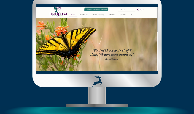 Advanced Website: Site redesign, Wix Events. Wix automations, Wix CMS