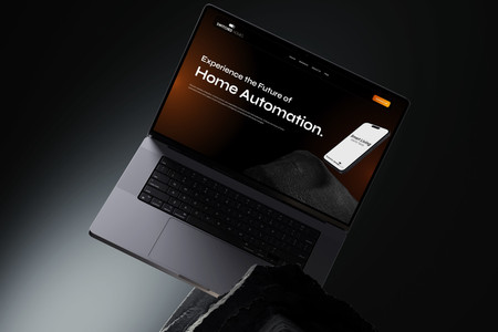 Switched Homes: Innovation for the "HOME", Innovation for the "WEB."