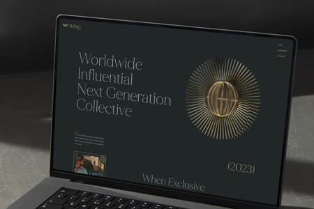 WING Collective: undefined