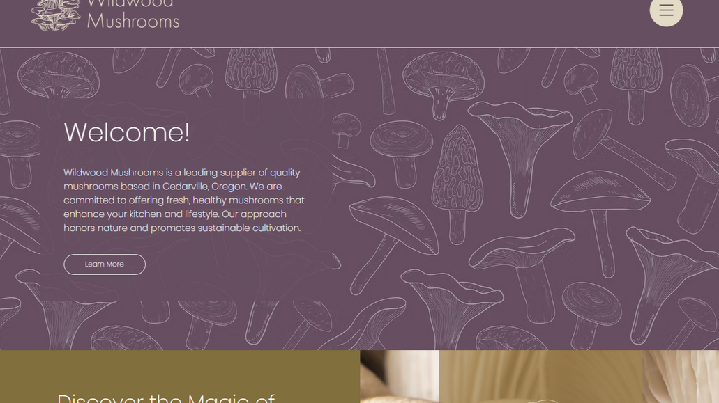 WildWood Mushrooms: undefined