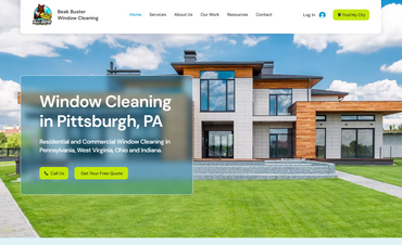 Beak Buster Window Cleaning