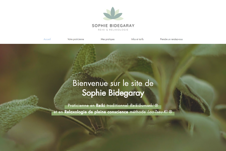 Sophie Bidegaray | Praticienne en médecine douce: Création du site vitrine et identité visuelle d'une praticienne en médecine douce