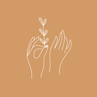 Palm & Flora